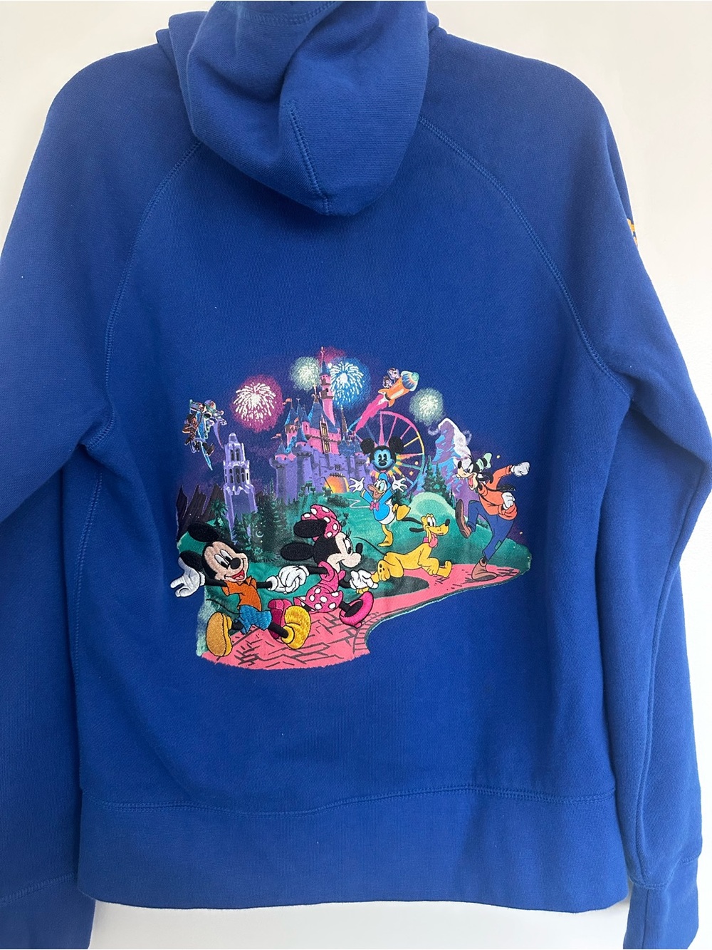 Vintage Disney Royal Blue Hoodie with Classic Character Embroidered Backprint